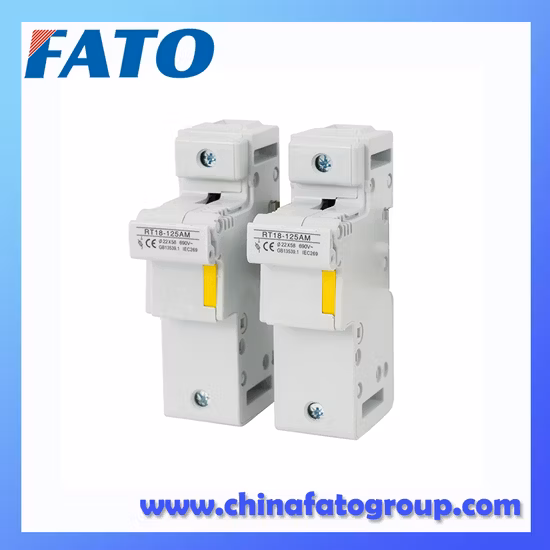 Porte-fusible de fabricant professionnel de la Chine 125A pour lien de fusible cylindrique