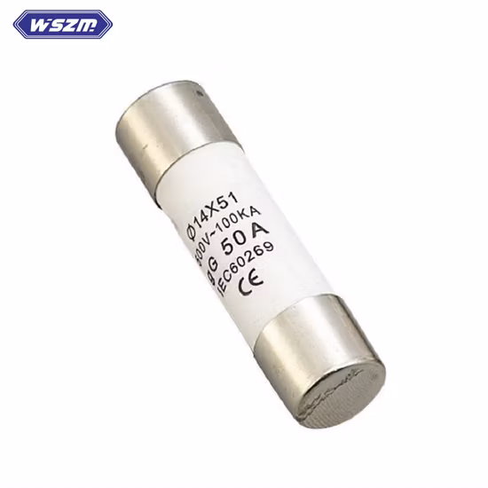 Lien de fusible cylindrique de type Gg 500V 690V 100ka 125A